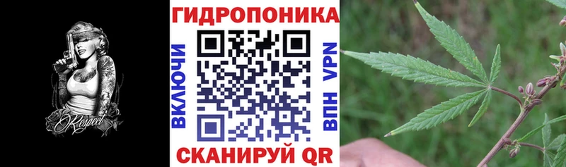Где купить Алапаевск A PVP  мега ТОР  МАРИХУАНА 