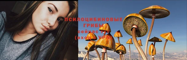 МДПВ Новокубанск