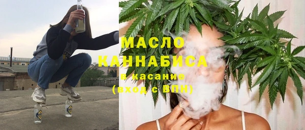 твердый Протвино