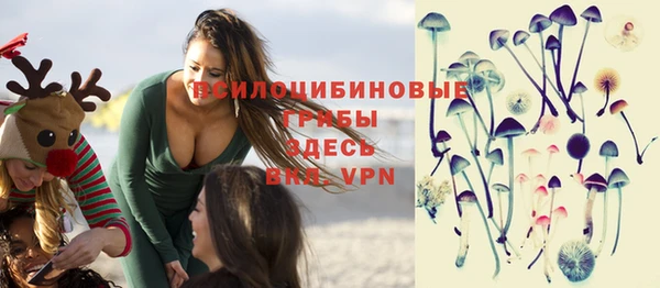 твердый Протвино