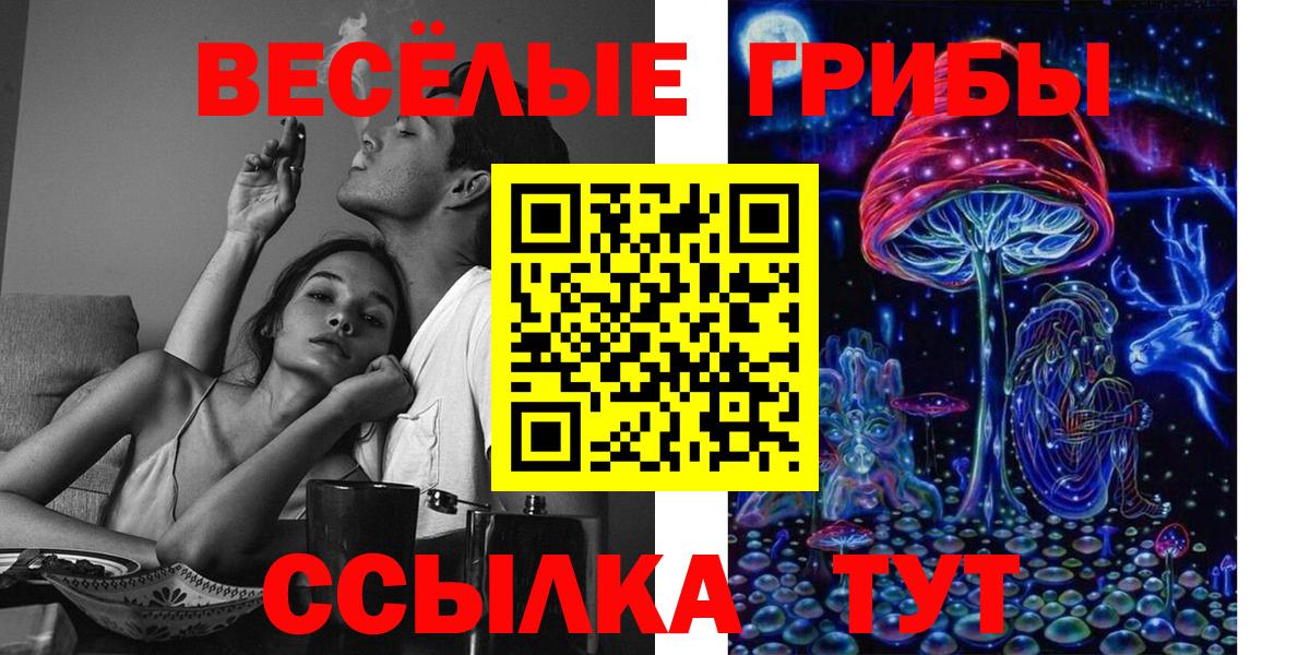 Галлюциногенные грибы Cubensis  Вход с VPN  Алапаевск 