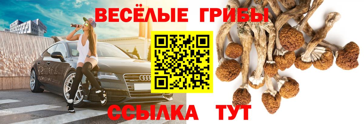 Псилоцибиновые грибы GOLDEN TEACHER Алапаевск