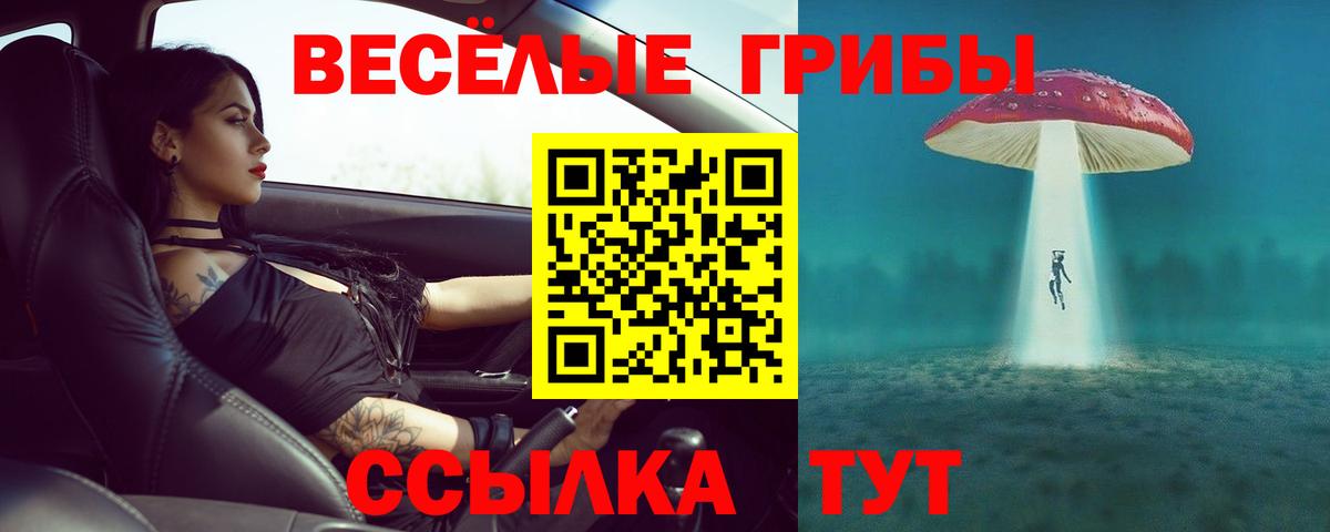 Галлюциногенные грибы мухоморы Алапаевск