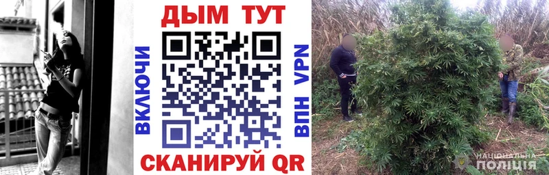 ссылка на мегу как войти  Алапаевск  даркнет наркотические препараты  Конопля ГИДРОПОН 